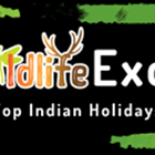 Rajasthan Packages photo