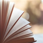 Christian Lingua, Translation Services photo