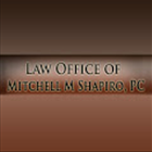 Mitchell Shapiro photo