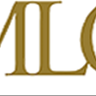 Mlg Business Litigation Group photo