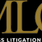 Mlg Business Litigation Group, Lawyer photo